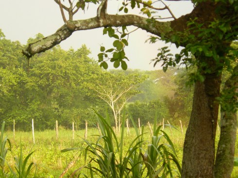 6. maybe you'll find gold