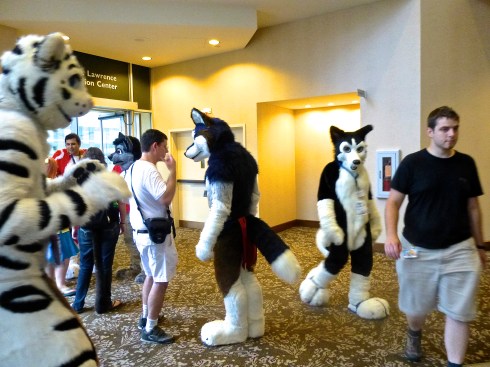 sustained hallucination 