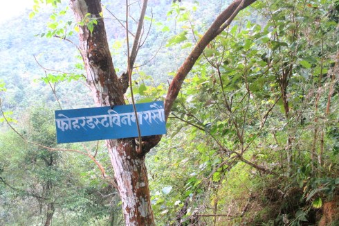 I spend a lot of time wondering what all these signs say.