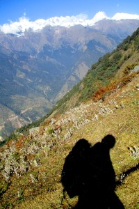 The Himalayas are the youngest and highest mountain range in the world.