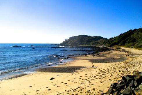 The sand and the rocks whispered to me the secretes it shares with the dingos