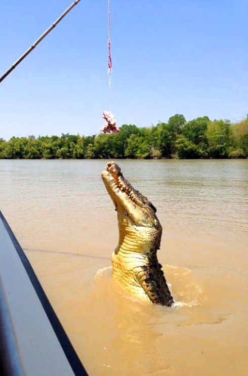 water that will eat you