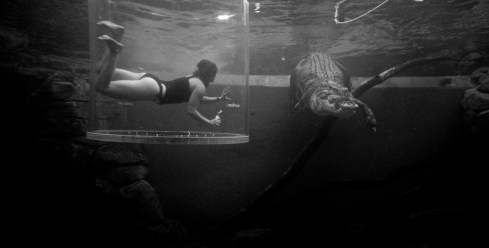 creased with an innocuous, mischievous smile