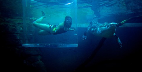 "This is going straight to the pool room"