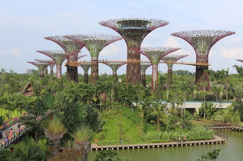 I went to Gardens by the Bay which was hard to appreciate in the humidity but the Google images are spectacular.