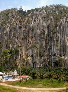 hitchhiked to a remote rock climbing spot (i.e. over grown)
