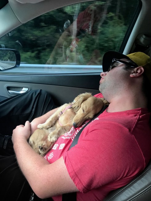 2DD5E495-11EC-44FB-B57C-80C88A66CFCD