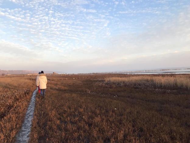 6HWHnNk0QrmWc1P5C5xUrw_thumb_13554