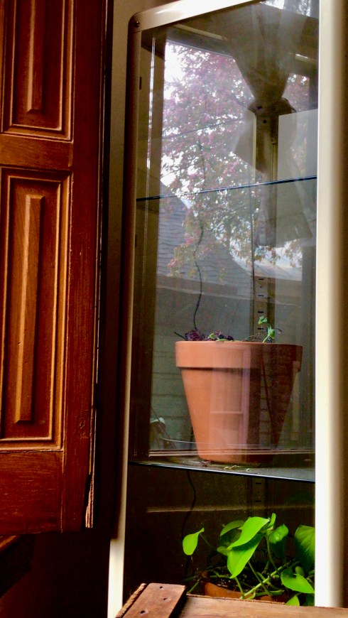 5BFC1622-5507-4150-B2F5-7AAF40CF1DD6