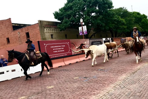 82412DE3-8FB2-410C-AEEF-184565C9AC39