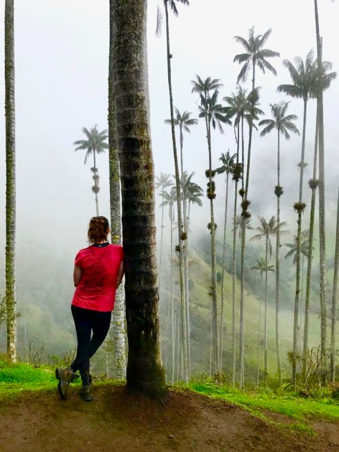 13c7704f-a039-4967-8ce8-9ef9518082c2