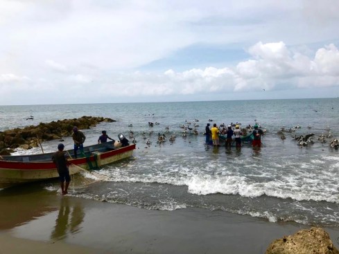 5506b3e5-d4e2-46b3-b60e-7042318d6376