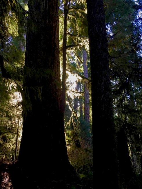 5cdfe12e-121d-4e17-9a97-d2ddf7da0247