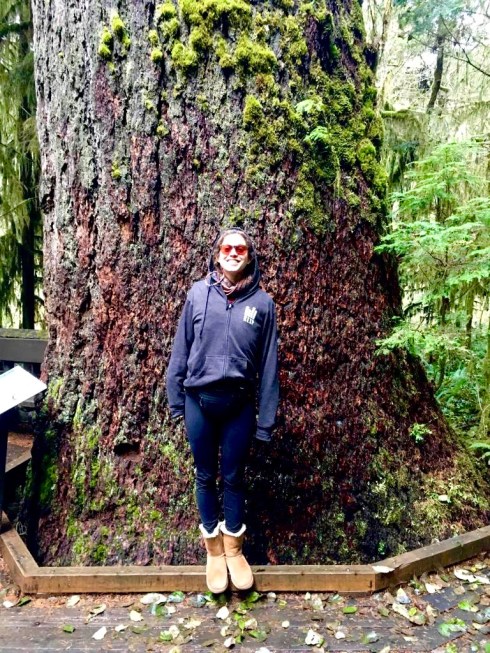 6e46e914-11e7-4e3b-8b3c-33cbbe90f2c1