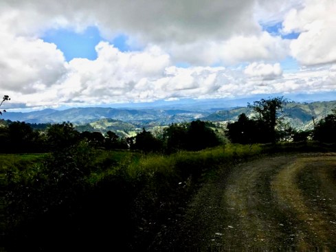 92b9ed34-5dcd-41ad-949e-8324c2852b81