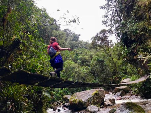 fad095eb-5a2a-431d-be84-febe62883dde