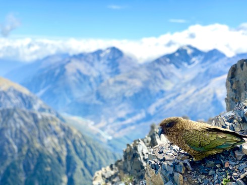 03C2EA74-01C3-42BF-A311-F50897F26359