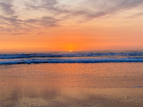 12DE9FEE-0145-4E37-A5FD-07B3A68E510D