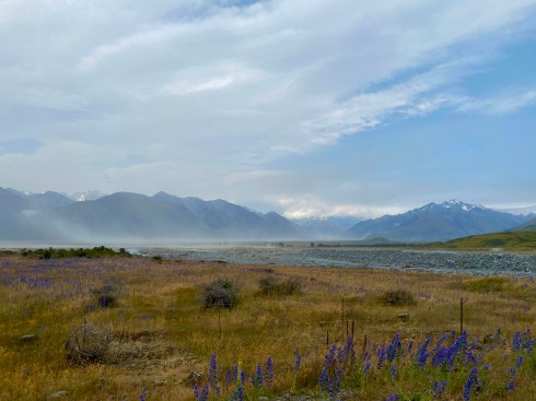 1C7F2761-6C31-48C7-B28B-55C5943CF35E