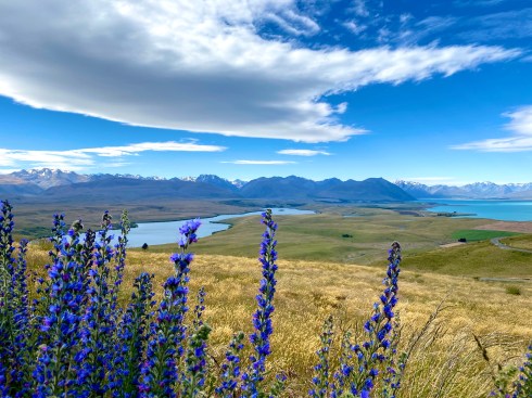 972D222B-F4FC-4055-A673-581874C9C1B4