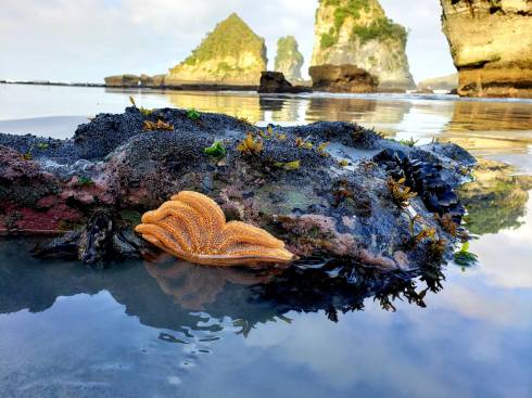 c741b99a-1a25-4f81-ba8f-e3f48e87a613